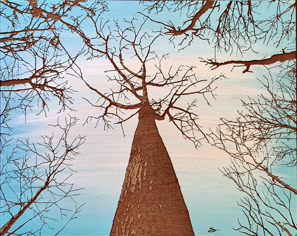 "Skyward" - Scott At Pike